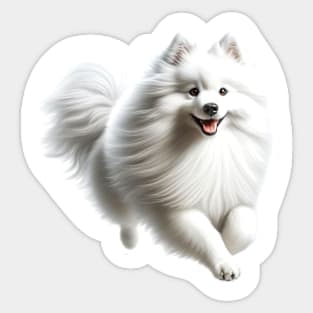 American Eskimo Dog Sticker